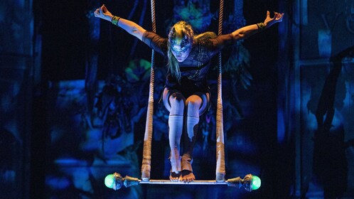 Cirque du Soleil JOYÀ Karten