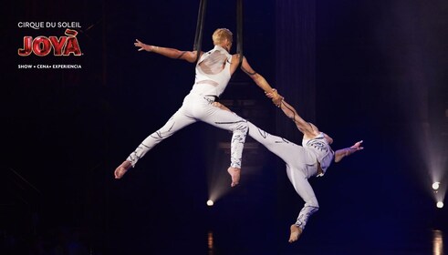 Cirque du Soleil JOYÀ-billetter