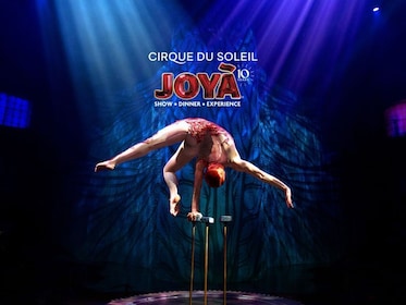 Cirque du Soleil JOYÀ Tickets