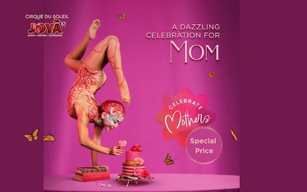 Cirque du Soleil JOYÀ Karten