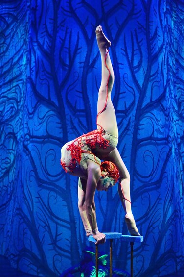Carregar foto 5 de 10. Cirque du Soleil JOYÀ Tickets