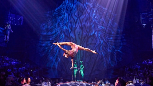 Tiket Cirque du Soleil JOYÀ