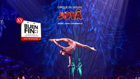Cirque du Soleil JOYÀ Karten