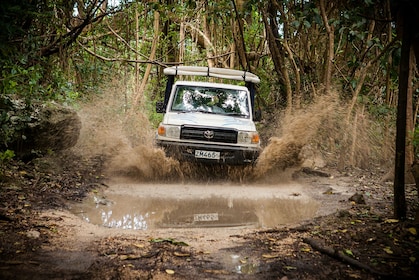 4x4 Best of Barbados Jeep Experience