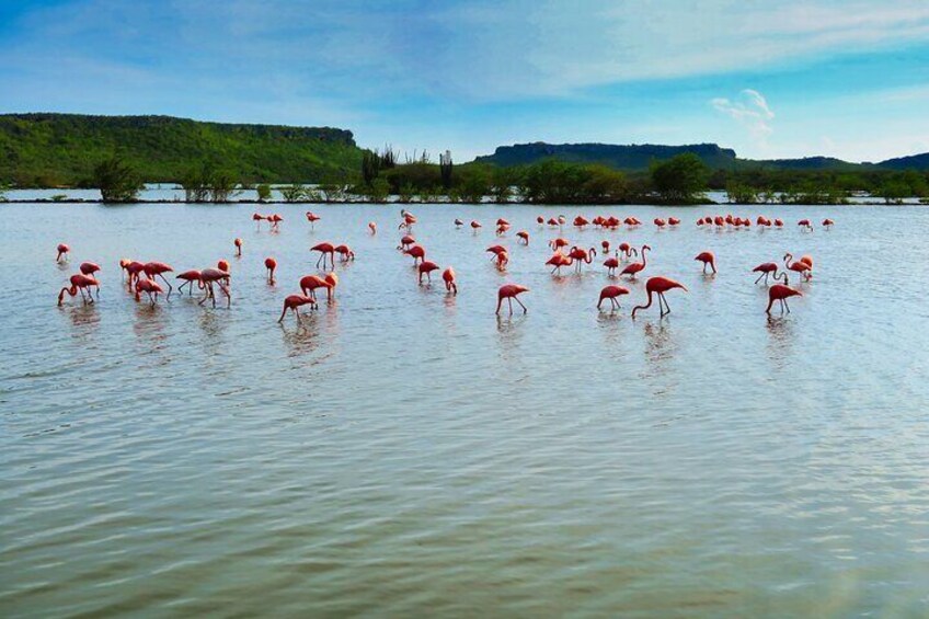 Beach Hopping; Private Tour provided by DLN EXCURSIONS