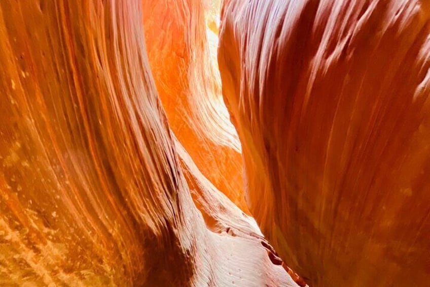 Guided-Hike through Peekaboo + Great Chamber/Cutler Point Combo (Small Group)