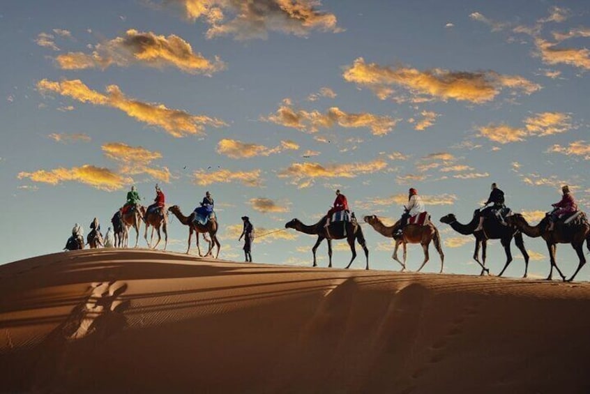 2 nights sahara desert camp & camel trek