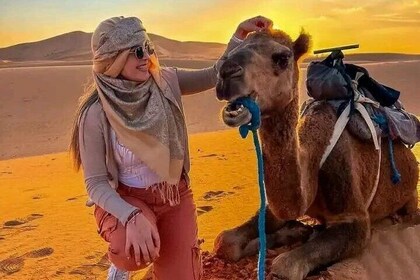 Camel Trekking & 1 Night in Merzouga Desert Camp
