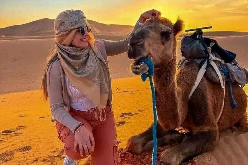 Camel Trekking & 1 Night in Merzouga Desert Camp