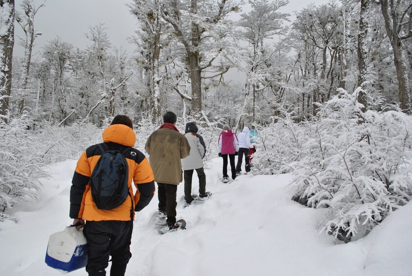 Snowshoeing group in Argentina