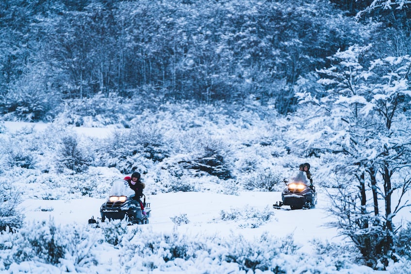 Snow Adventure Night Tour