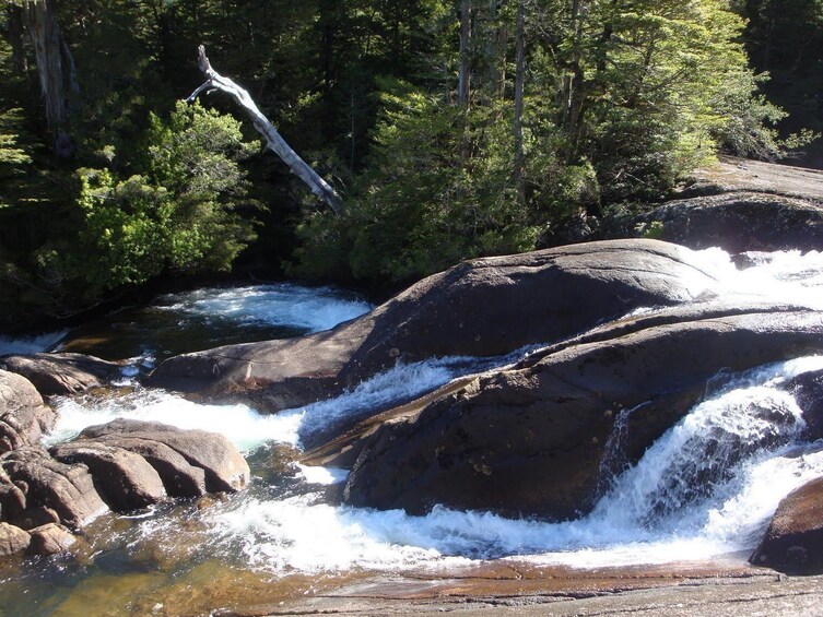 Puerto Blest and Falls Boat Ride Tour