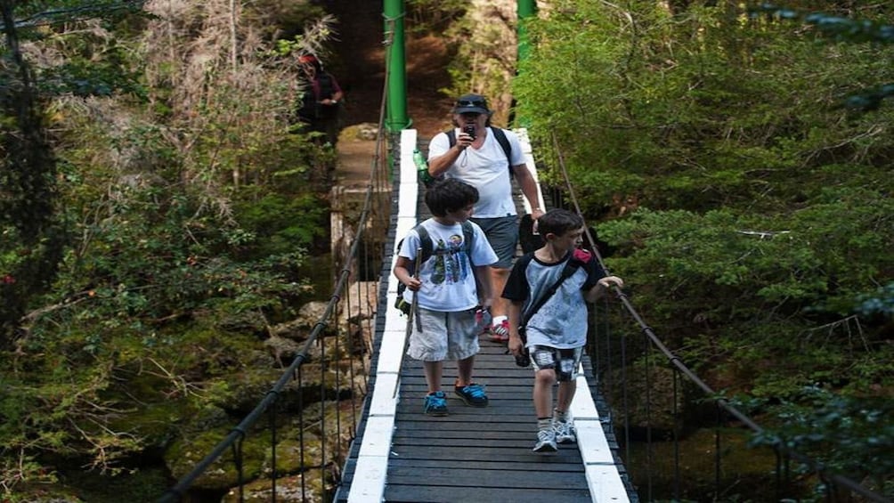 Puerto Blest and Falls Boat Ride Tour