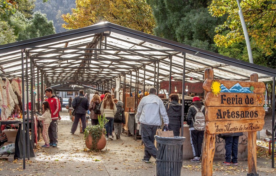 San Martin De Los Andes Tour by the Seven Lakes