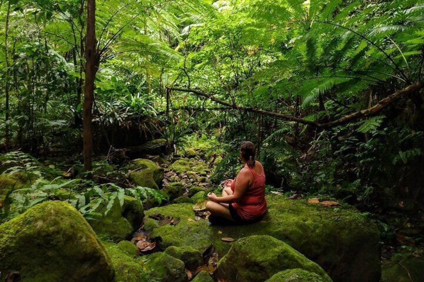 Walking Meditation to Rainforest, Waterfall Hike and Volcanic Hot Springs