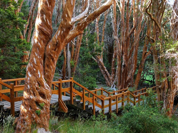 Victoria Island & Myrtle Forest Boat Tour