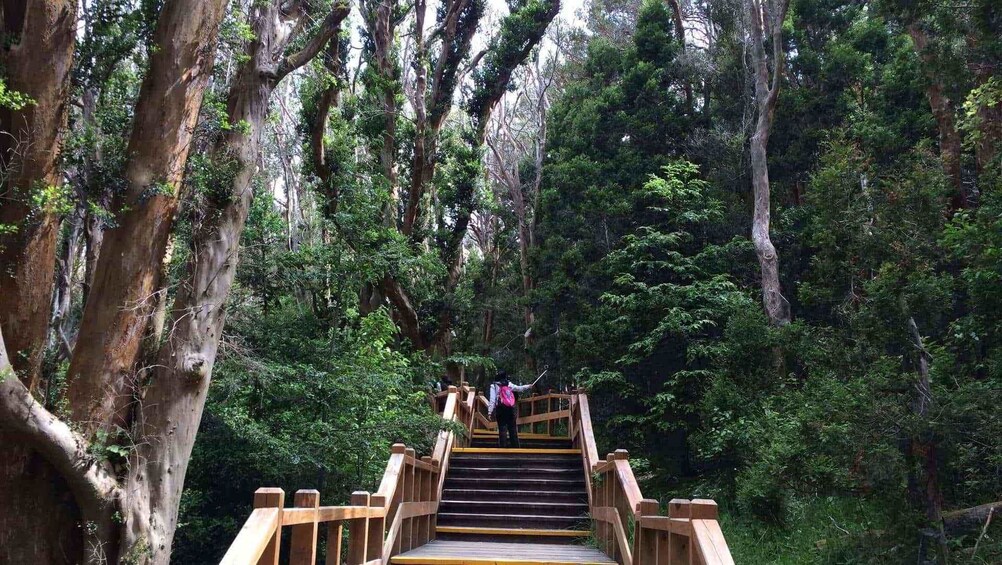 Victoria Island & Myrtle Forest Boat Tour