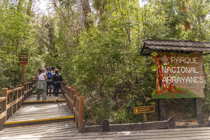 Victoria Island & Myrtle Forest Boat Tour