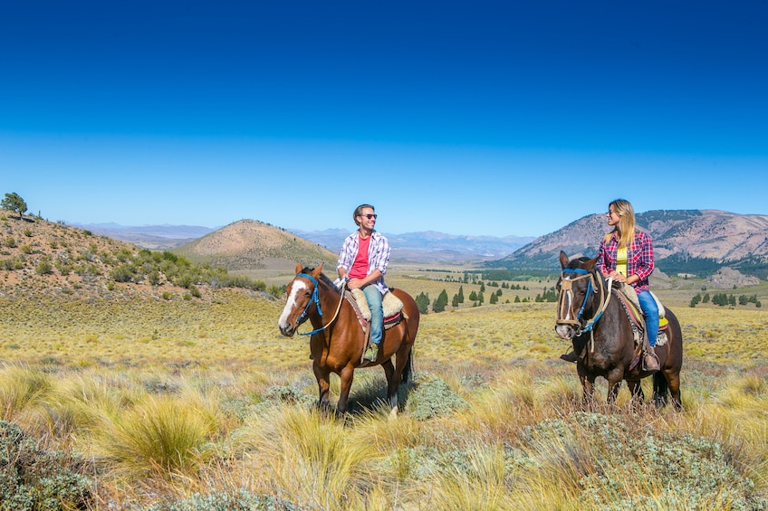 Half Day Horseback Riding Tour