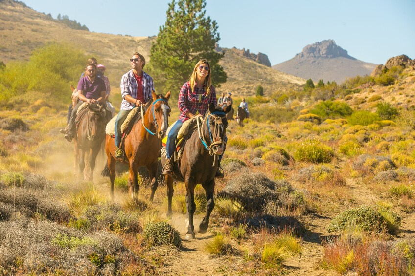 Half Day Horseback Riding Tour