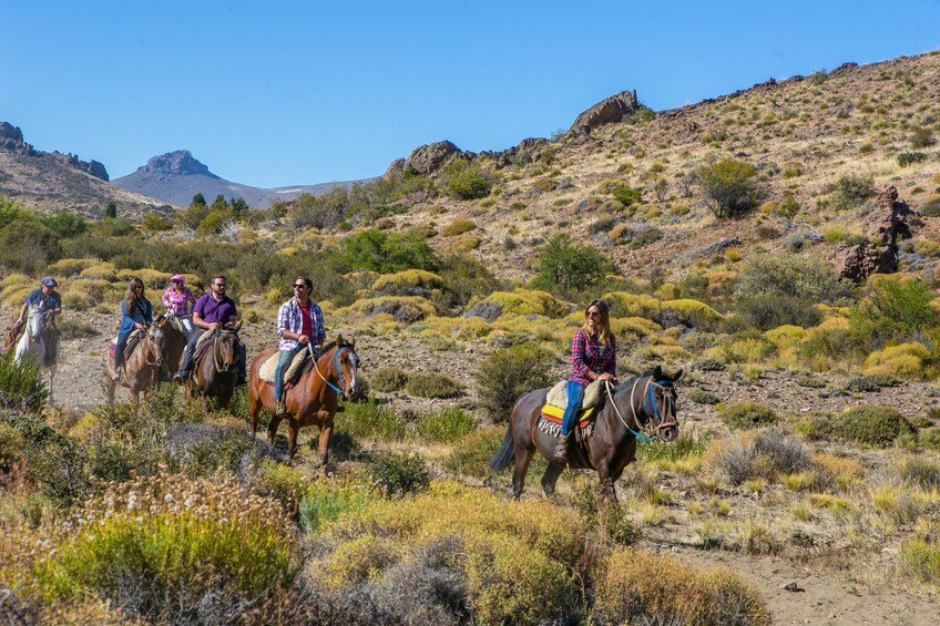 Half Day Horseback Riding Tour