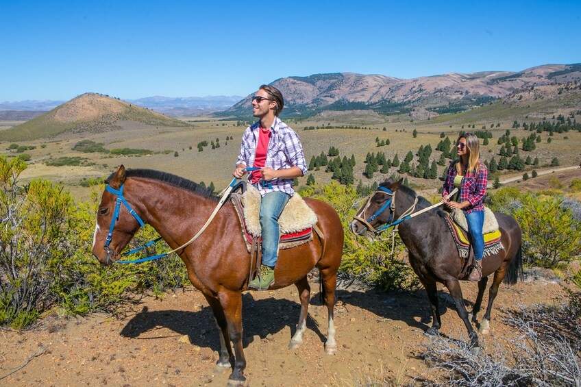 Half Day Horseback Riding Tour