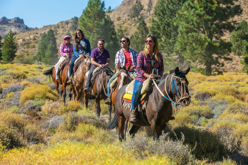 Half Day Horseback Riding Tour