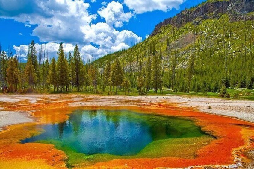 Yellowstone Lower Loop Geothermal Full-Day Private Guided Tour