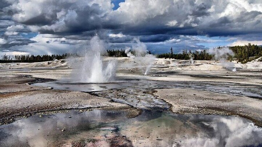 Yellowstone Lower Loop Geothermal Full-Day Private Guided Tour