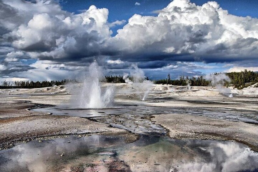 Yellowstone Lower Loop Geothermal Full-Day Private Guided Tour