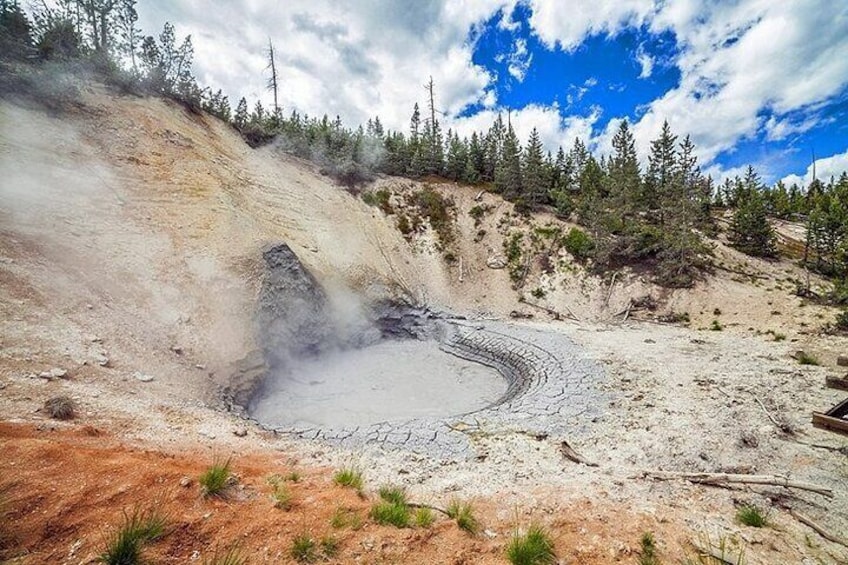 Yellowstone Lower Loop Geothermal Full-Day Private Guided Tour