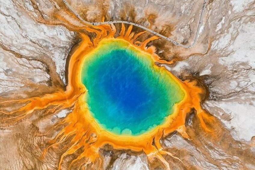 Yellowstone Lower Loop Geothermal Full-Day Private Guided Tour