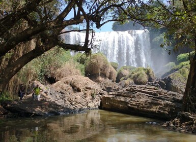 Datanla, Pongour, Elephant: 3 stunning and majestic falls