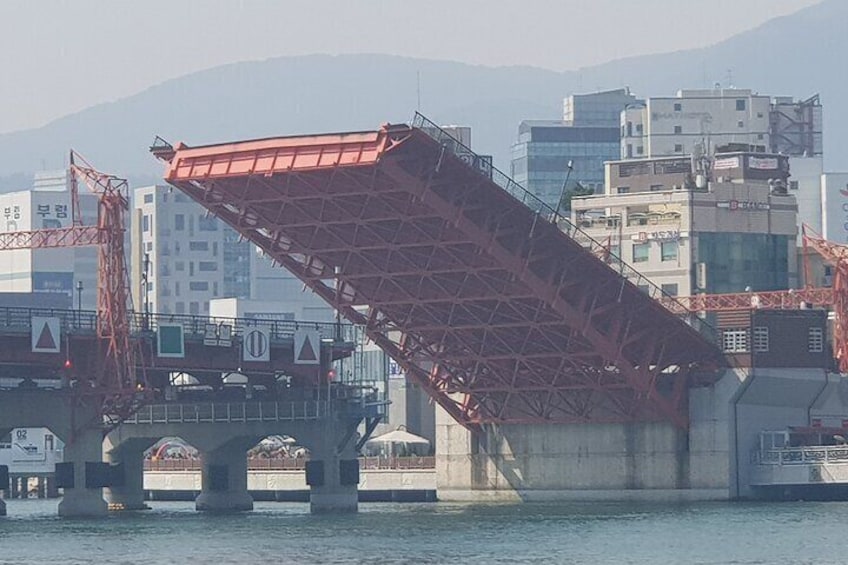 2 Day Busan East and South Private Tour