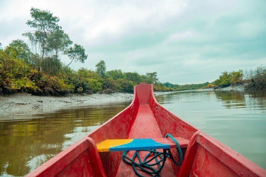 Private Tour from Guayaquil to Churute Ecological Reserve 
