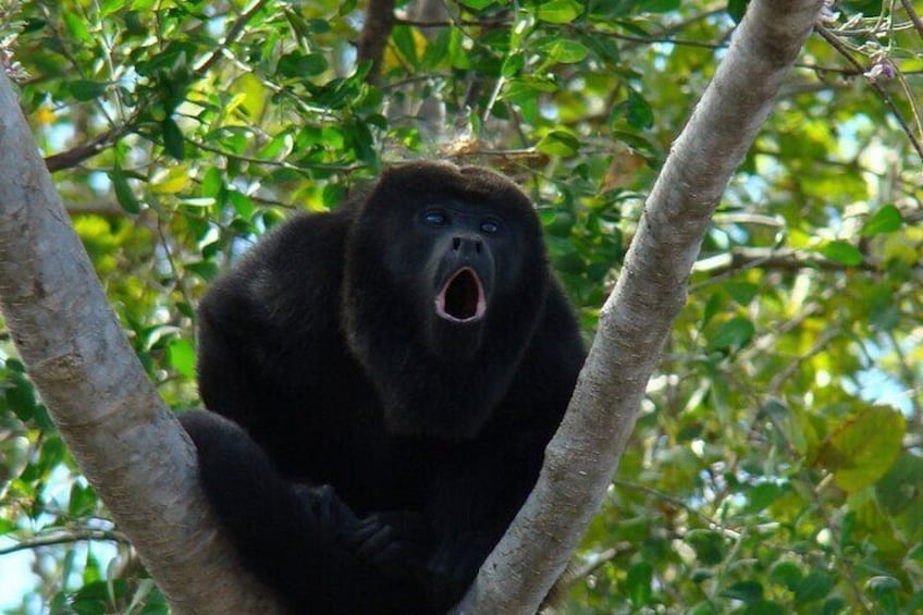 Private Tour from Guayaquil to Churute Ecological Reserve