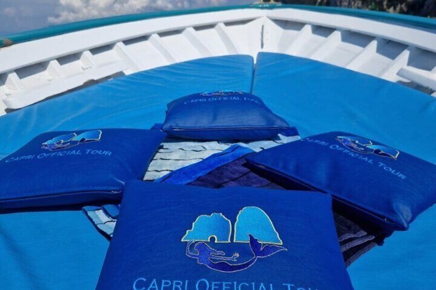 Boat Tour of the Caves on the Island of Capri