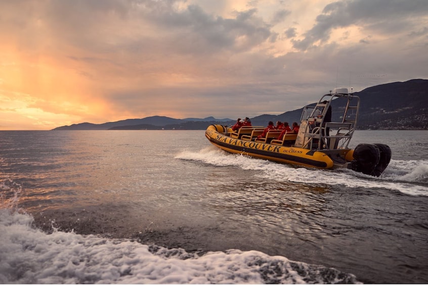 Sea Vancouver Waterfront Sightseeing [City and Wildlife]