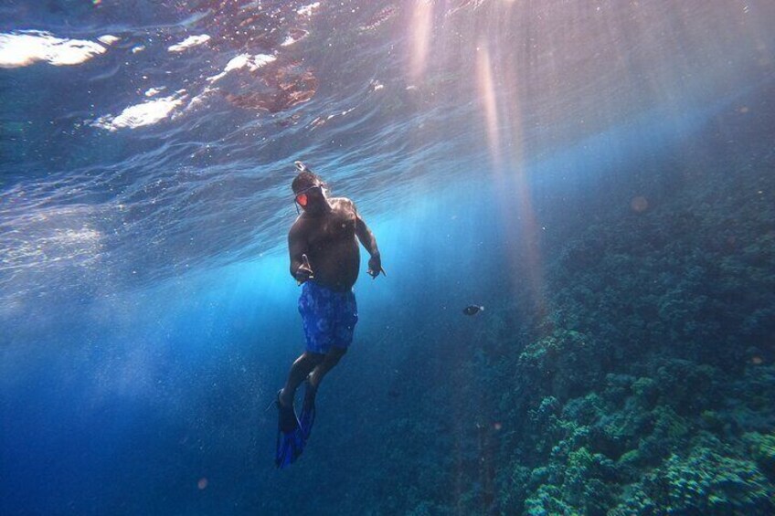 Snorkel at Turtle Cleaning Station with Photo and Video