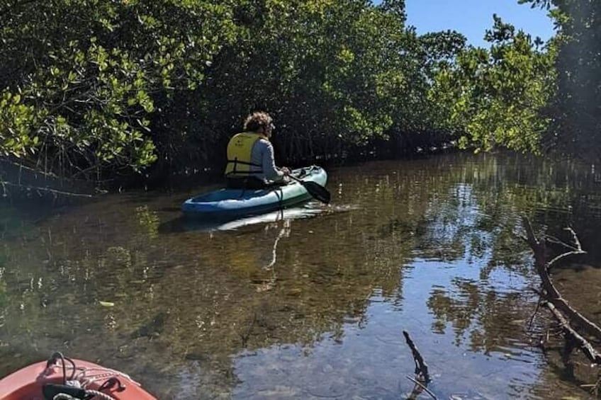 2-Hour Tandem Kayak Tour in Anclote River