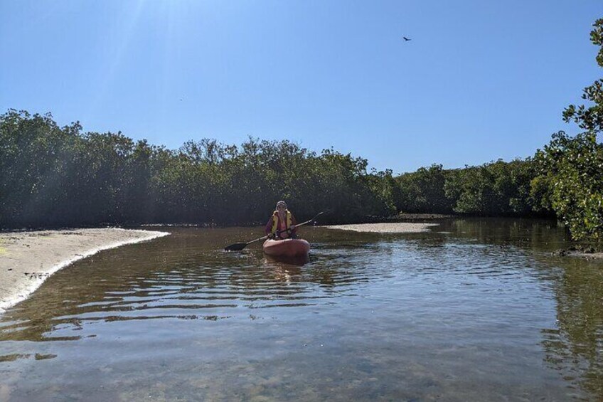 2-Hour Tandem Kayak Tour in Anclote River