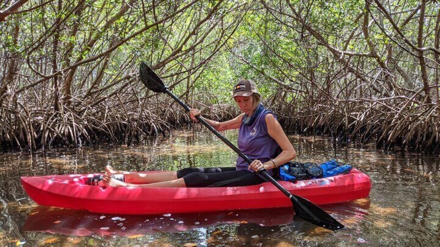 2 Hour Tandem Kayak Tour