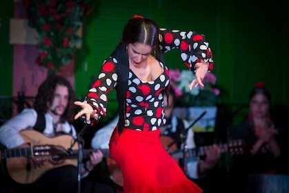 Eintrittskarte für die „Solo Flamenco“-Show