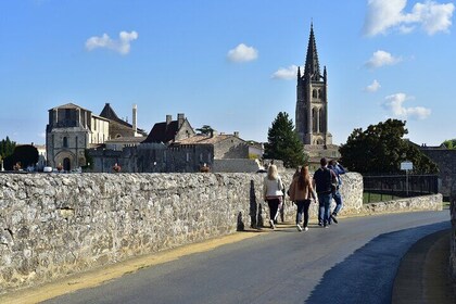 Private Tour in Saint-Emilion: Underground Monuments and Grands Crus Tastin...