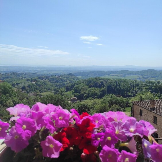 Picture 19 for Activity Rome to Tuscany Private Transfer and Tour