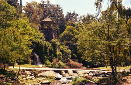 Exploring the Scenic Punilla Valley