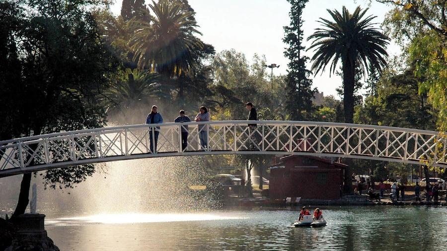 Exploring Cordoba: A Half-Day Sightseeing Expedition