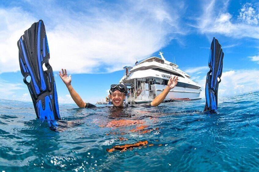 Snorkelling the Outer Great Barrier Reef