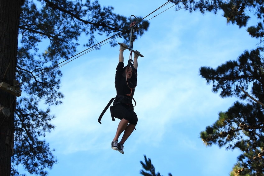 Woman on a rope and pulley in the trees in New Zealand