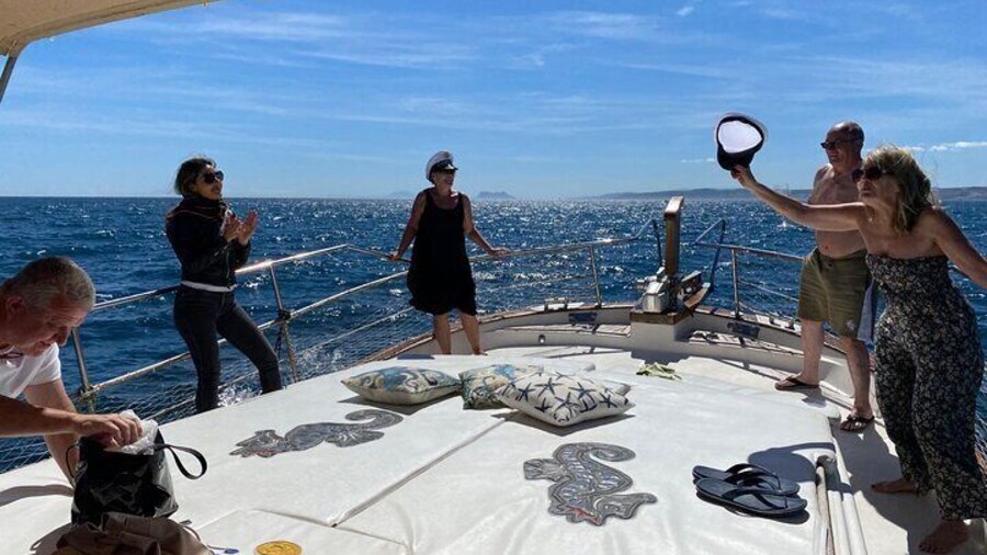 2-hour excursion in search of dolphins/drinks and snacks